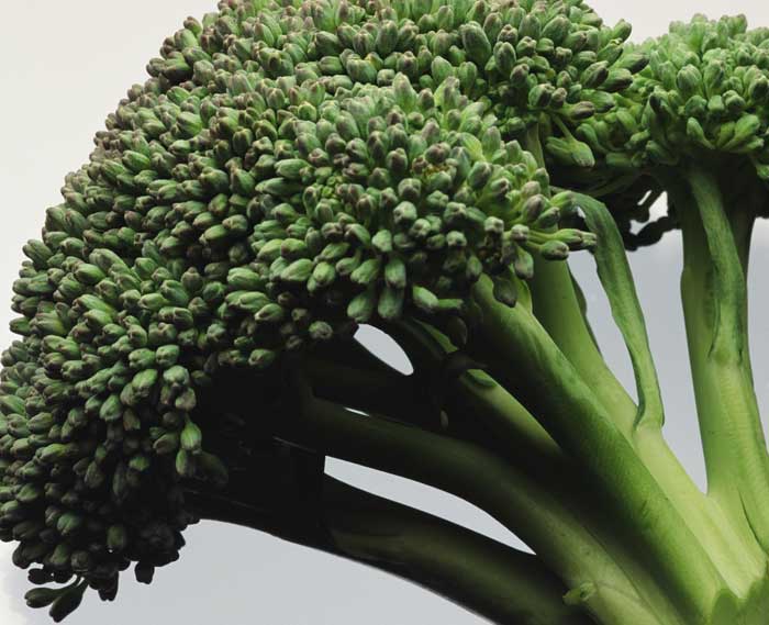 se le considera el brocoli una de las verduras con mayor valor nutricional.