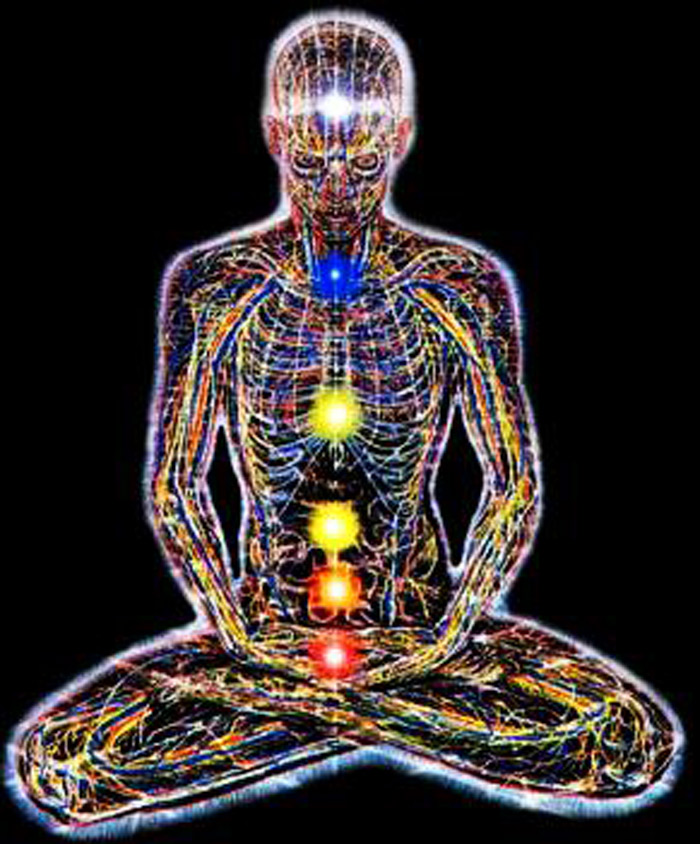 La energía universal, llamada KI (MTC), fluye dentro del cuerpo formando una matriz que liga a los órganos vitales con todas las demás partes.